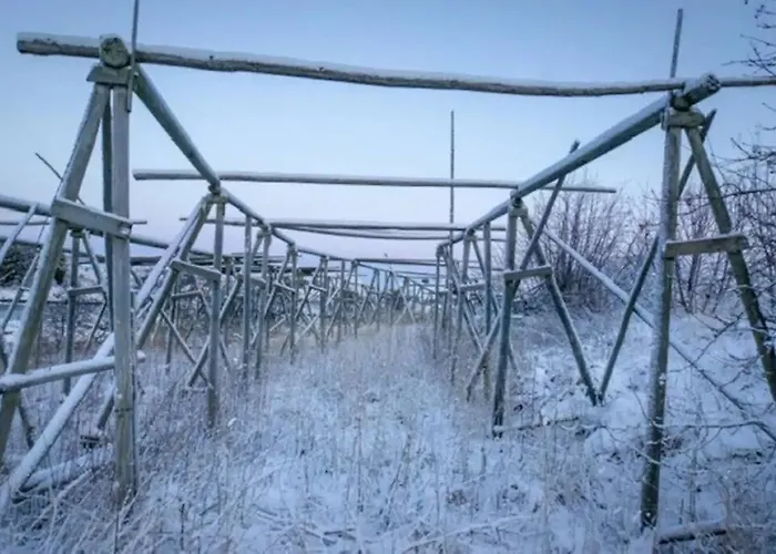 Daire Modern Fisherman Ballstad