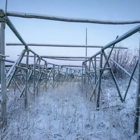 Apartament Modern Fisherman Ballstad